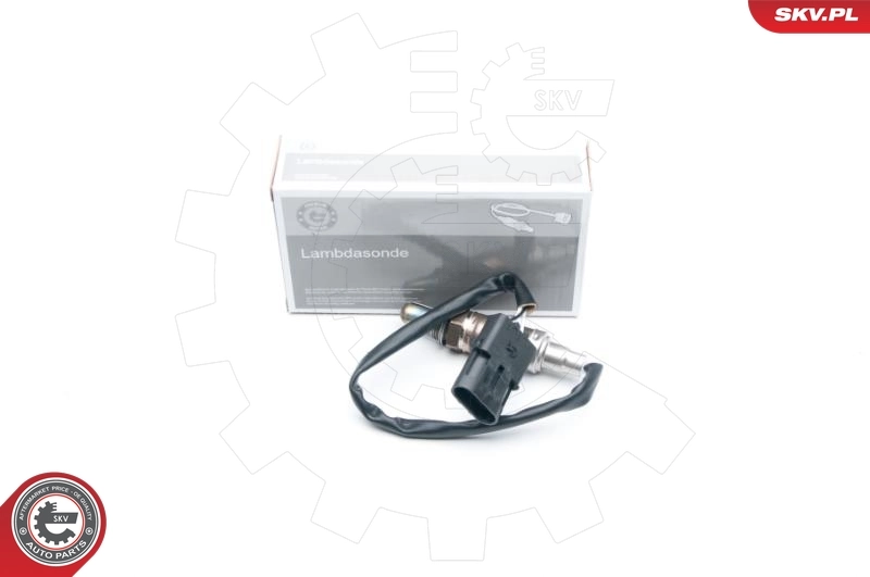 Oxygen Sensor